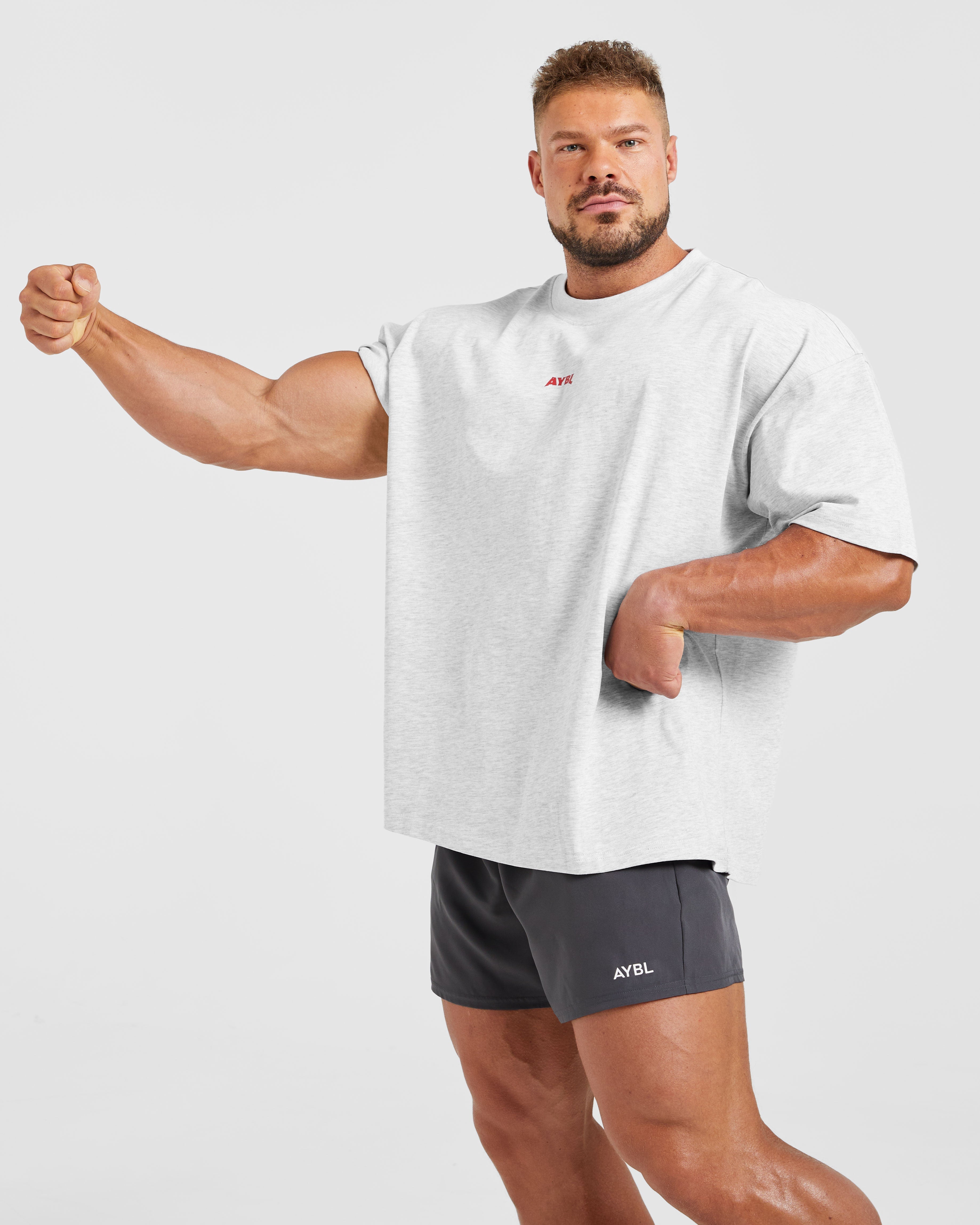 Wesley Vissers X Beyond Limits Oversized T Shirt - Grey Marl
